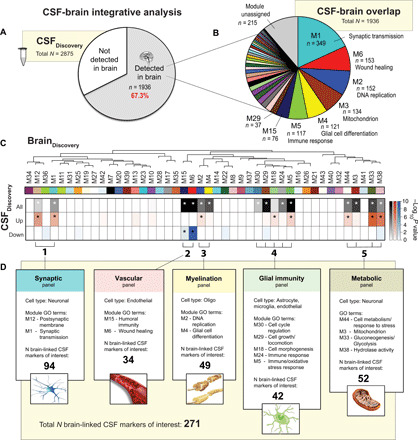 Integrated proteomics reveals brain-based cerebrospinal fluid biomarkers in asymptomatic and symptomatic Alzheimer’s disease